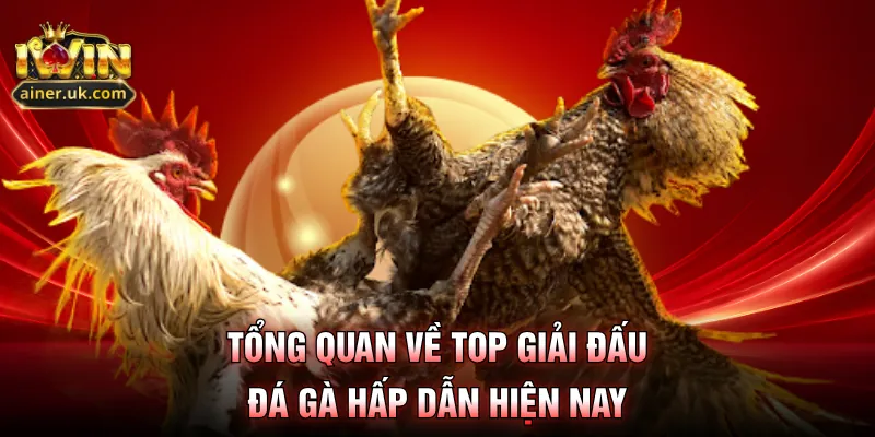 Tổng quan về top giải đấu đá gà hấp dẫn hiện nay